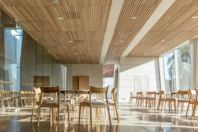 Lyst rom med tregulv, store vinduer og moderne stoler i lyst tre, badet i sollys fra siden.