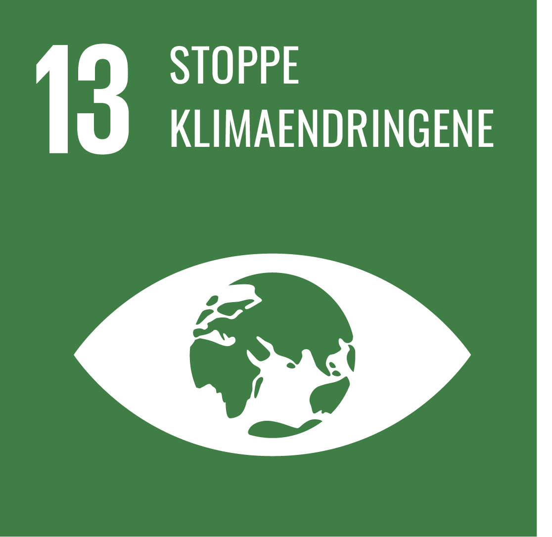 13 - Stoppe klimaendringene