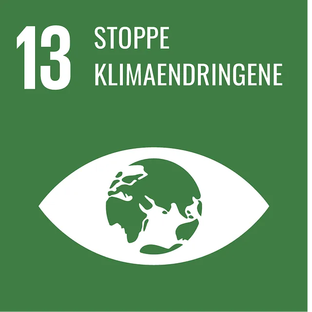 13 - Stoppe klimaendringene